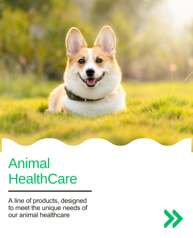Animal Healthcare API